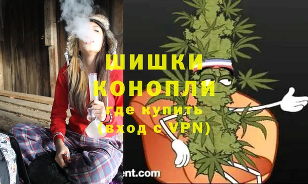 шишки Алексеевка