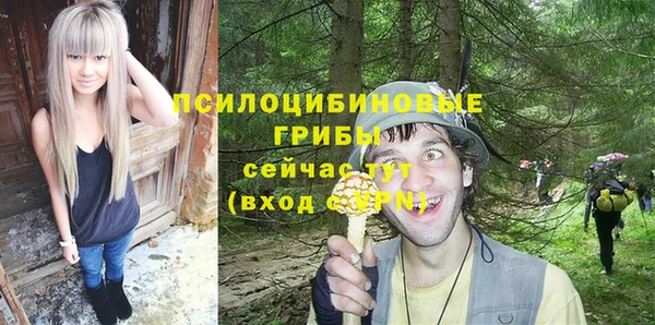 амф Михайловск