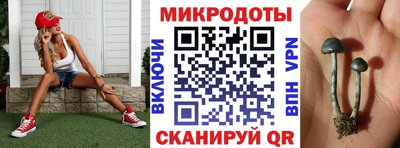 сколько стоит  Приволжский  Галлюциногенные грибы Psilocybe 
